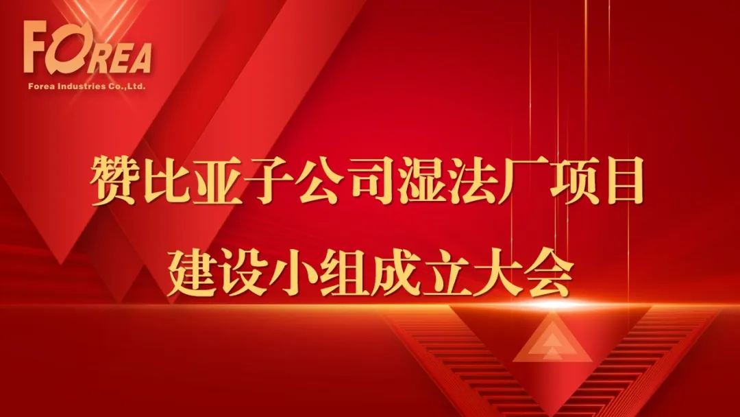 躬身入局，挺膺负责｜赞比亚子公司湿法厂项目建设小组成立